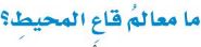 معالم قاع المحيط